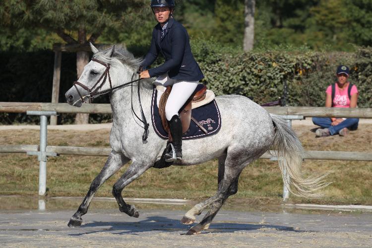 Image de Prochaines journées d'inscription