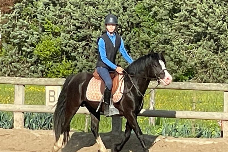 Image de rentrée 2024-2025 le 3 septembre