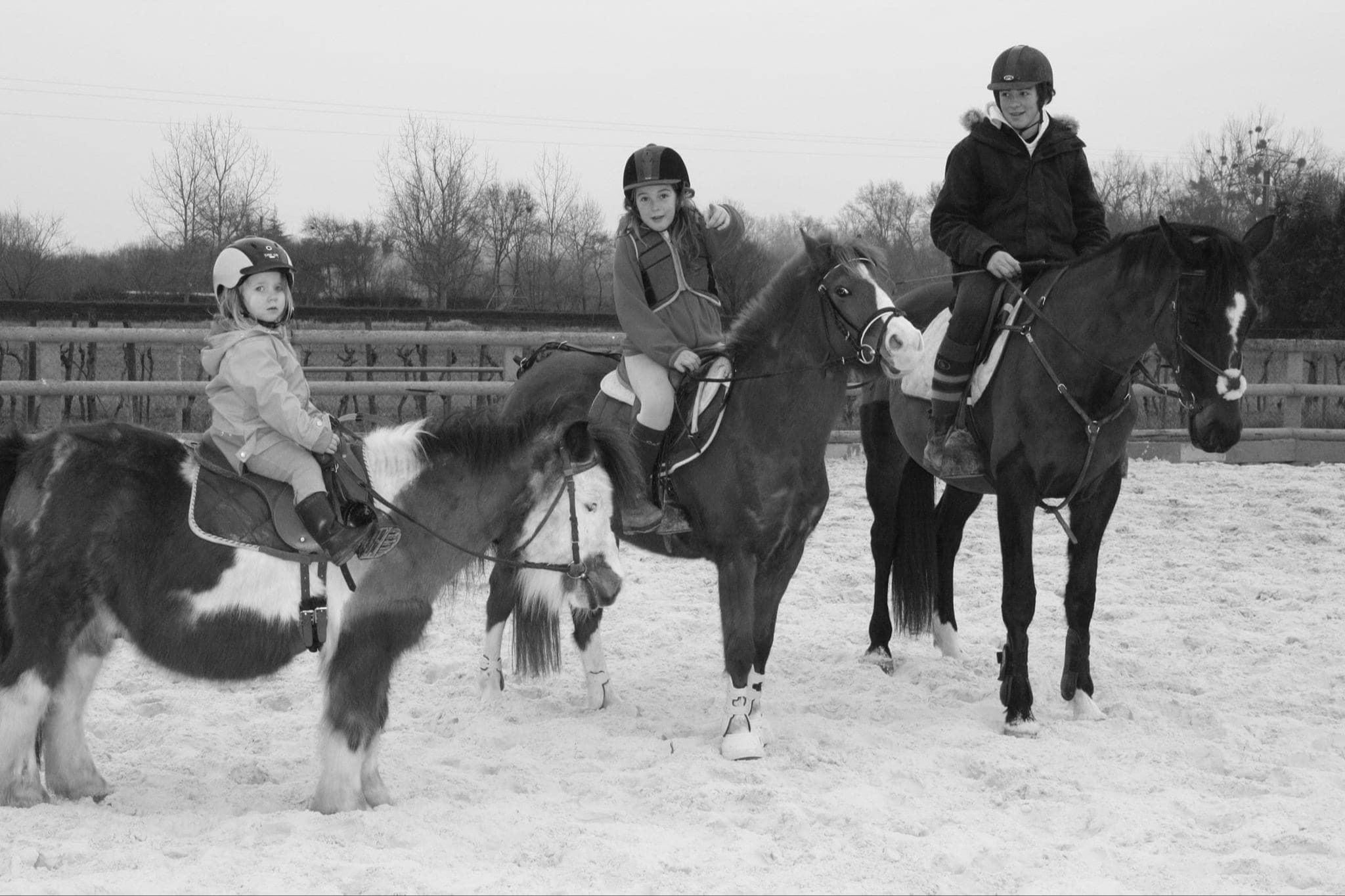 Image de stage du débutant au galop,4 à partir de 6 ans et adultes
