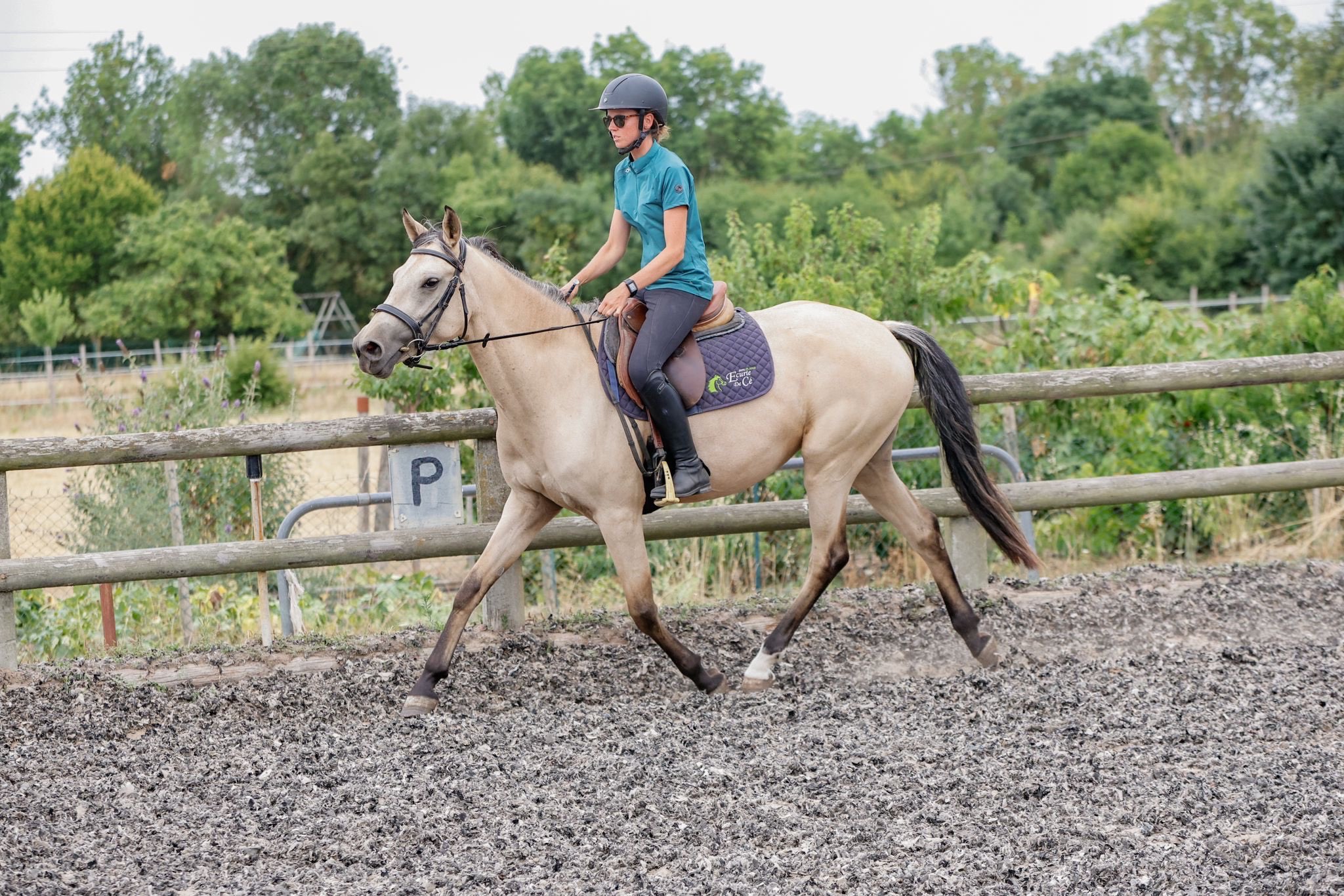 Image de DÉCOUVERTE OU REPRISE DE L'ÉQUITATION POUR PERSONNES JAMAIS MONTÉE OU PAS MONTÉE DEPUIS LONGTEMPS NIVEAU GALOP 1 ET 2