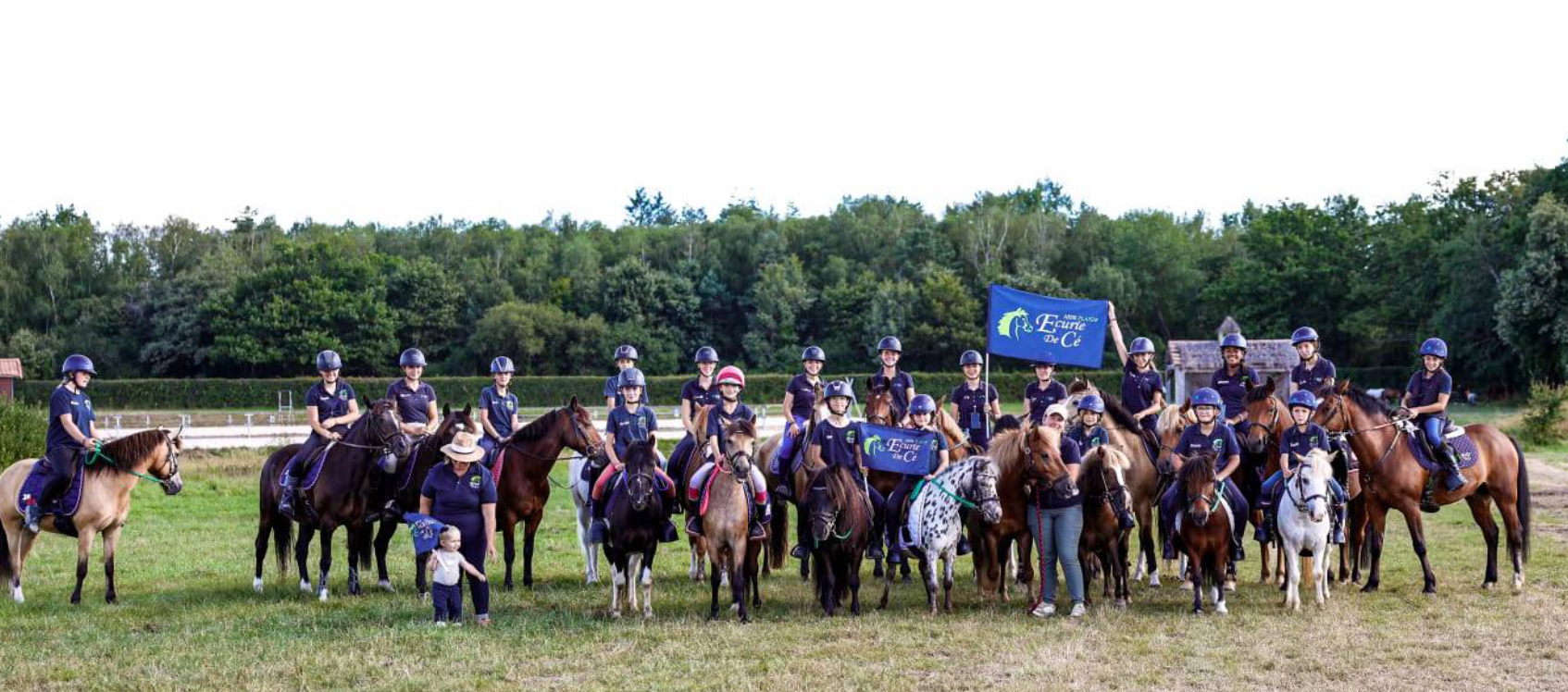Image de Stage du débutant au galop 5 à partir de 6 ans et adultes les élèves sont répartis par groupe de niveau et d'âge