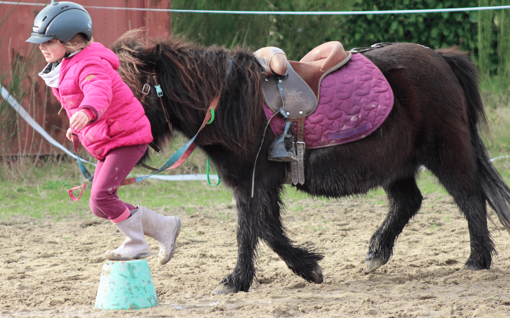 Image de DÉCOUVERTE DU PONEY POUR ENFANTS DE 3 À 6 ANS