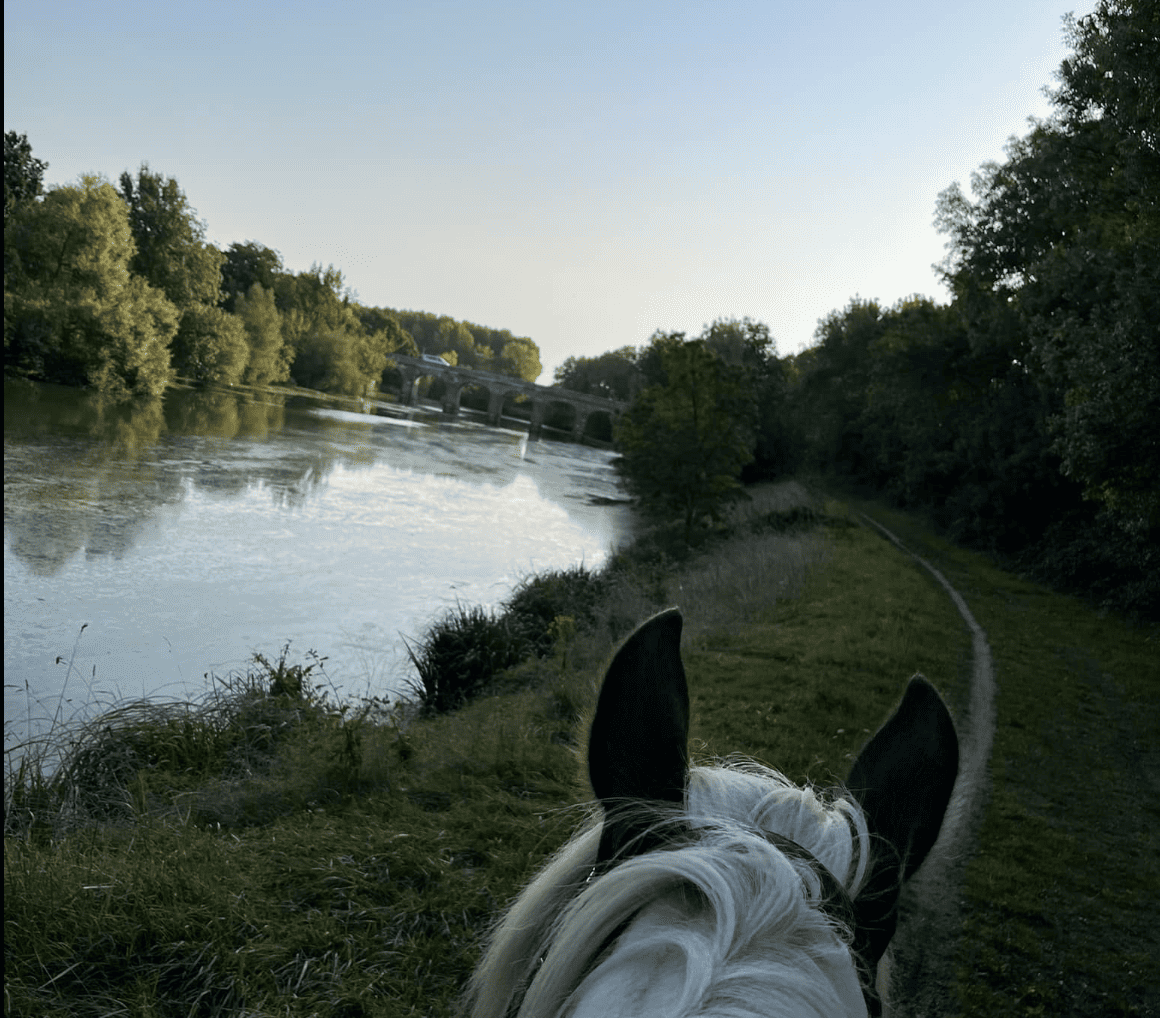 Image de BALADE À CHEVAL DE 2H (10H-12H) AU BORD DE L'AUTHION POUR CAVALIERS À L'AISE AUX TROIS ALLURES