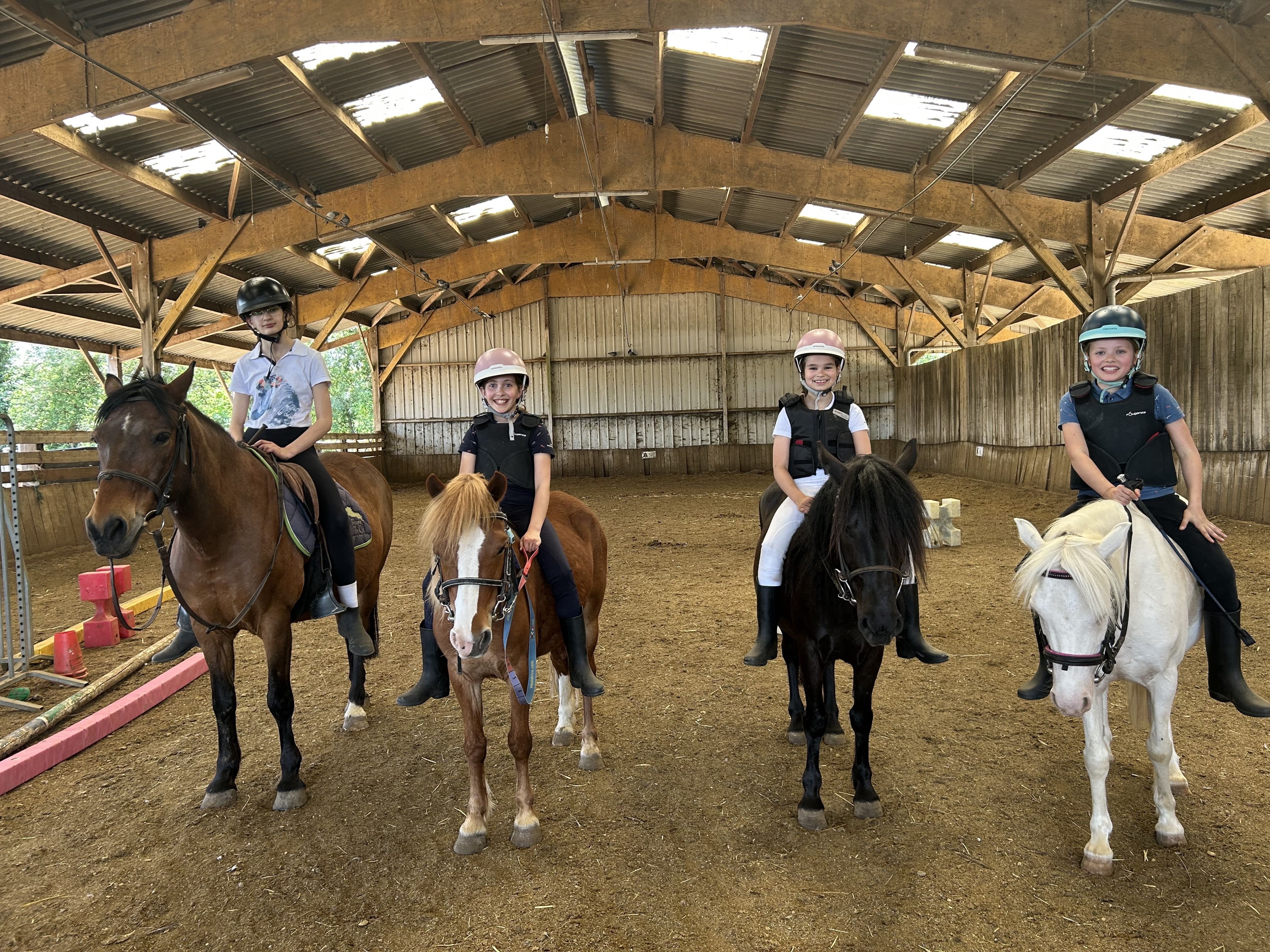 Image de Stage débutants au galop 3 pour cavaliers de plus de 6 ans