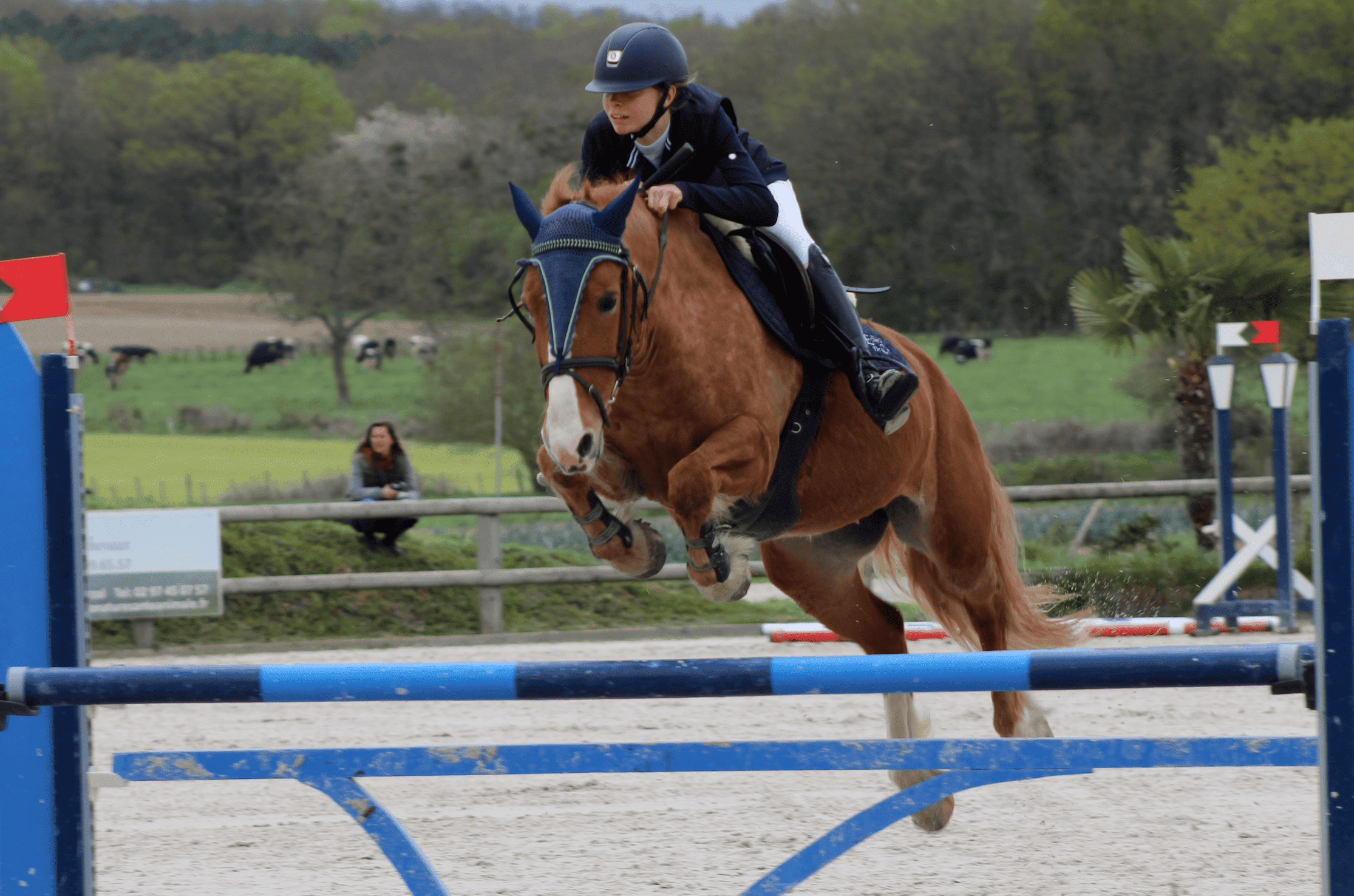 Image de Stage perfectionnement Galop 5 à 7 (passage du Galop 5, 6 et 7)