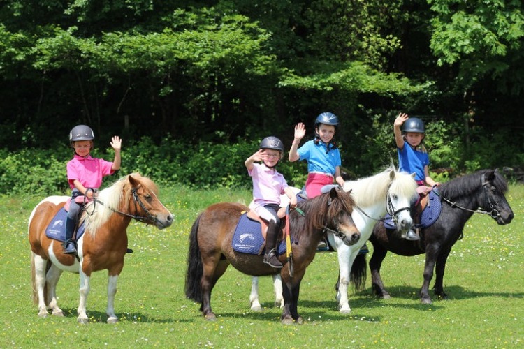 Image de stages février du  débutants jamais monté au galop 2 (+ de 6 ans)