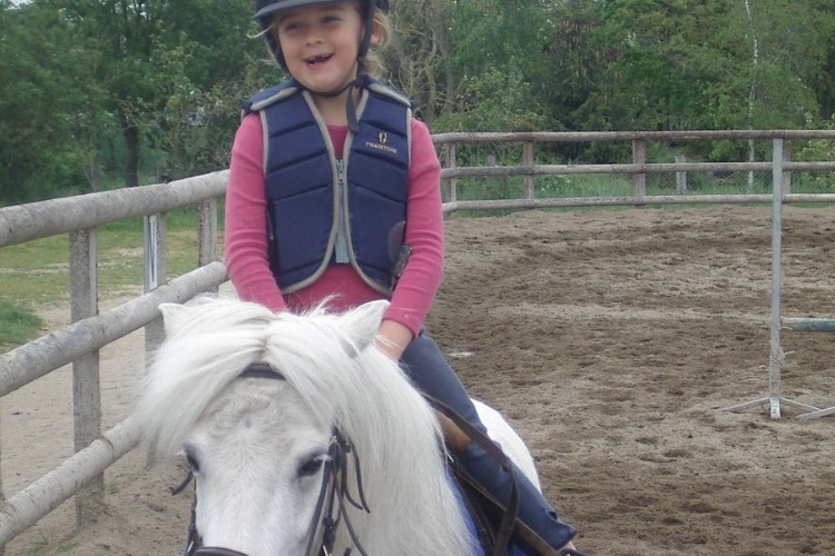 Image de STAGE BABY PONEY pour enfants de 3 à 6 ans