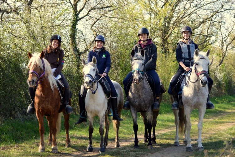 Image de Promenade Débutants