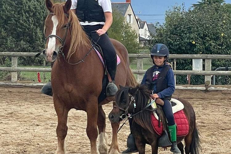 Image de Stage Initiation à l'équitation de 6 à 14 ans  de 13h30 à 16h30 Mardi &er Novembrel