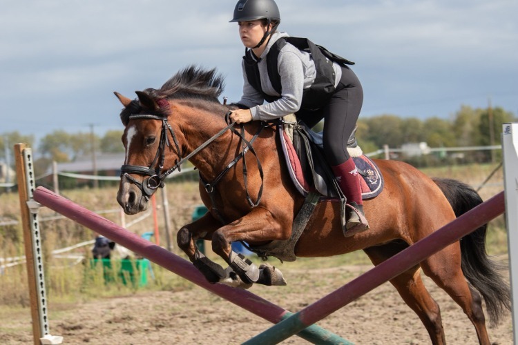 Image de STAGE SEMAINE GALOP 3 à 4 : 19 au 23 juillet et 23 au 27 aout