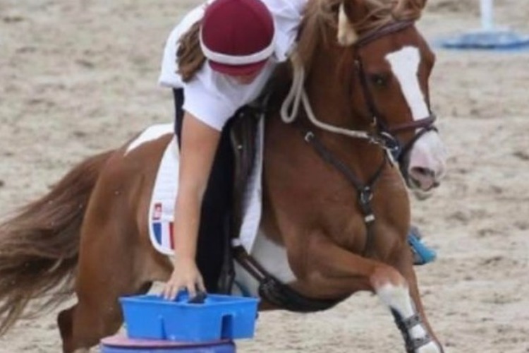 Image de Jeudi 14 Avril de 14h à 17h : un stage de Pony-Games pour les cavaliers galop 1 (acquis) au galop 7, à partir de 7 ans et aussi pour les adultes