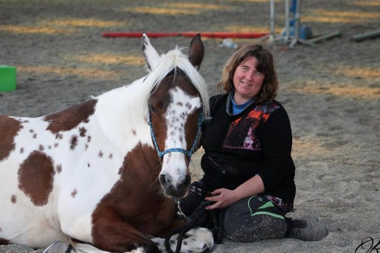 Image de  stage d'équitation éthologique sur 2 jours de 10h à 18h
