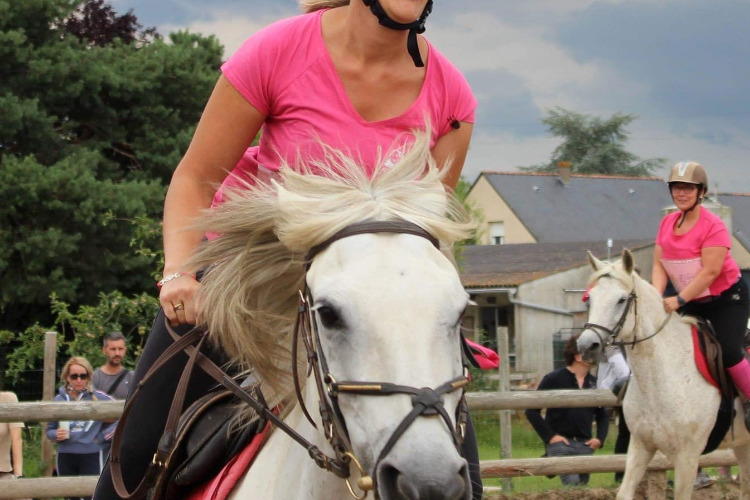 Image de Dimanche 22 octobre, matinée remise à cheval, pour cavaliers adultes déjà montés