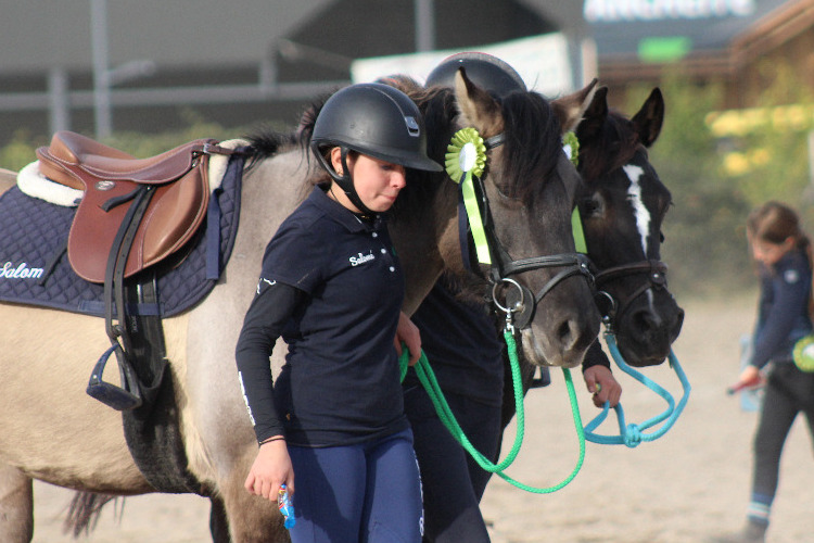 Image de Stage galop 1-2