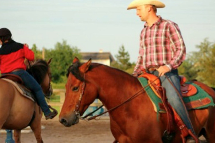 Image de stage équitation western